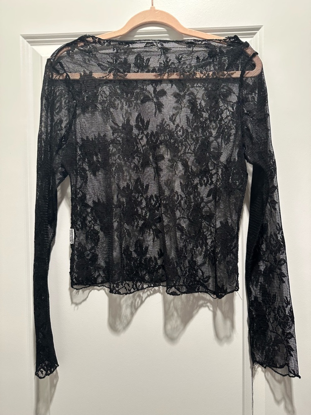 Sheer Black Floral Lace Long Sleeve Top
